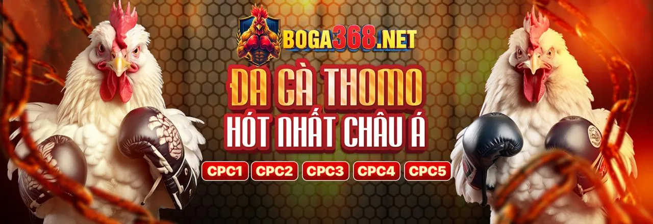 hi889 Trang Cá Cược Thể Thao Trực Tuyến
